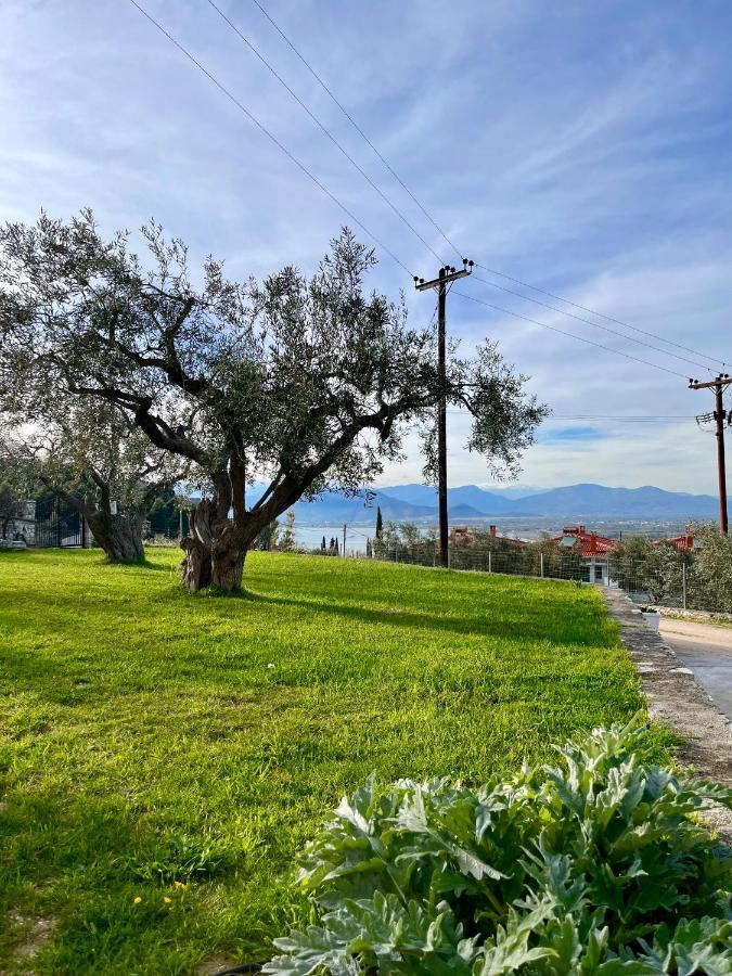 Apartment ενtree Near Palamidi Castle *